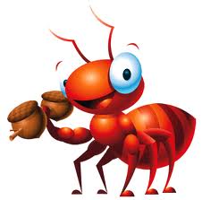 Ant