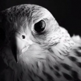 صديقك يبقى صديقك