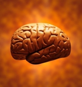 غرائب عن ذاكرة اﻹنسان