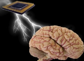 أنظمة كمبيوتر تحاكي الدماغ