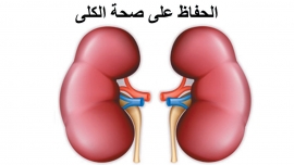 نصائح ذهبية للحفاظ على سلامة الكليتين