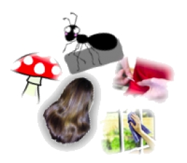 معلومات غريبة