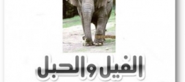قصة الفيل والحبل